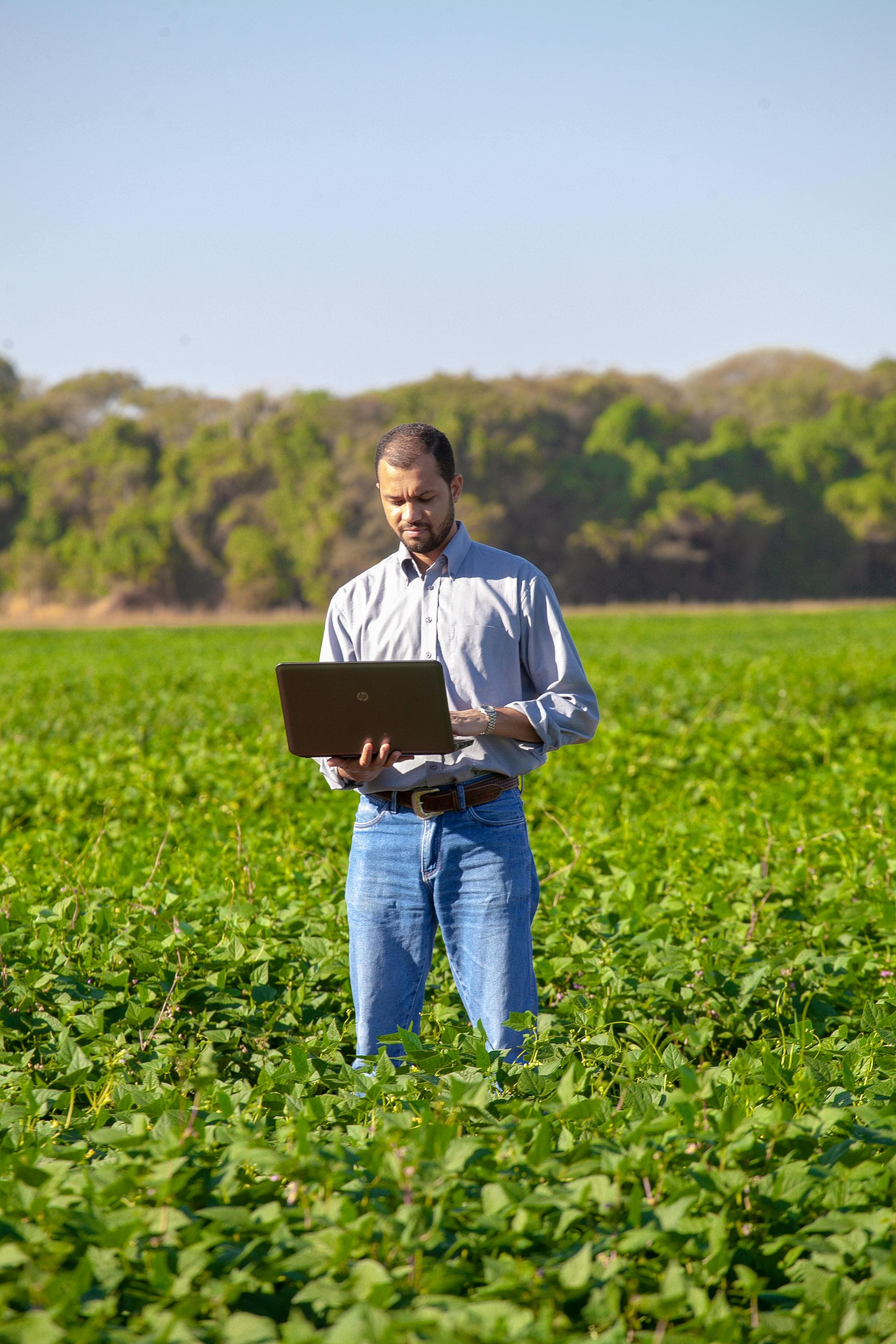Agriculture