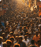 Government & Public Goods